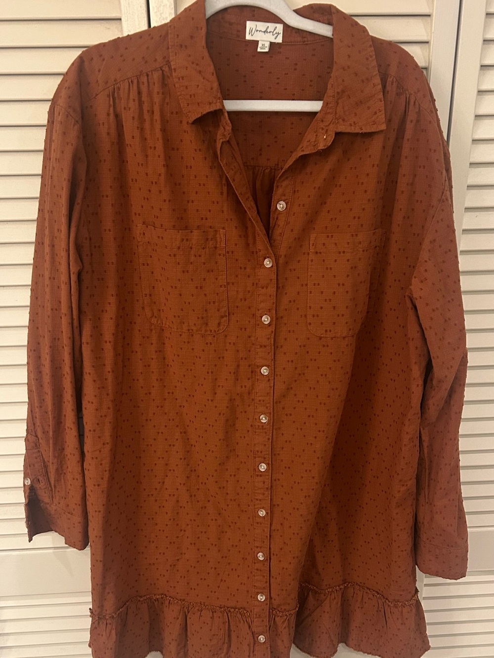 Wonderly Rust Cotton Mini Dress